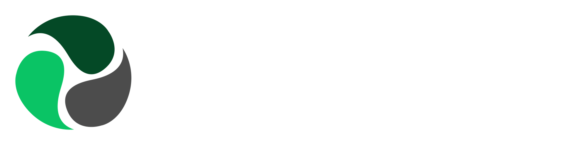 bartinsoft logo completo